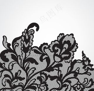 蕾丝花边图片