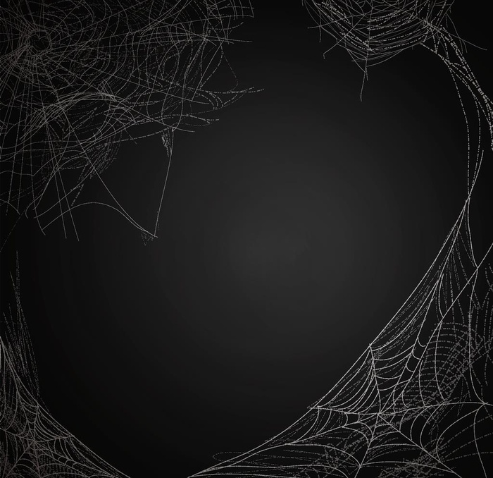 蜘蛛网图片