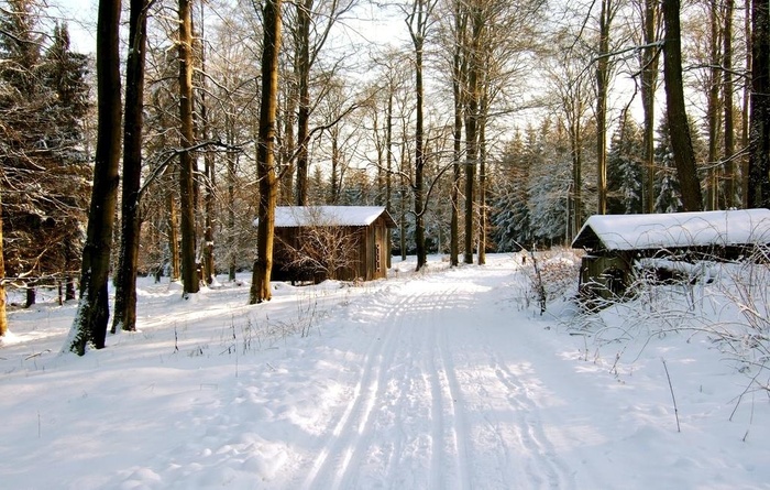 冬季雪景自然景观图片