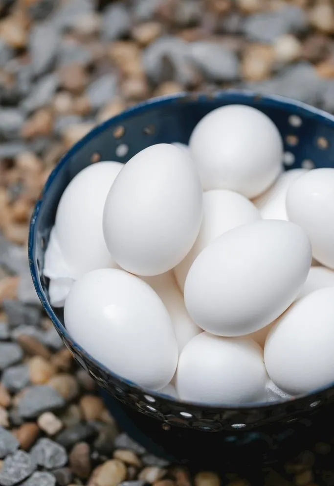 鸡蛋图片