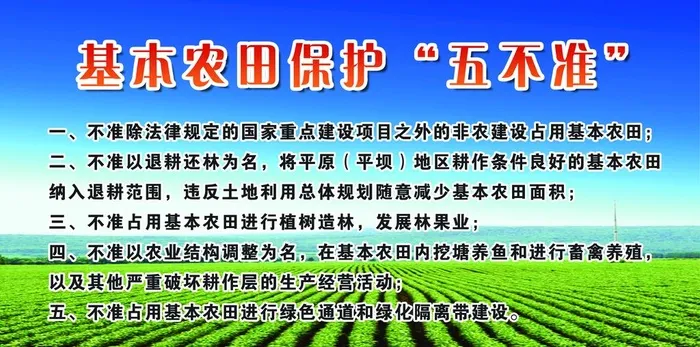 农田保护 五不准图片(6870x3622)psd模版下载