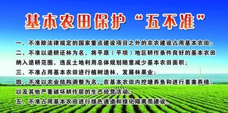 农田保护 五不准图片