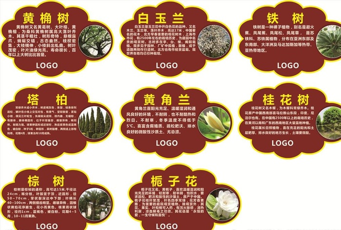 植物介绍图片cdr矢量模版下载