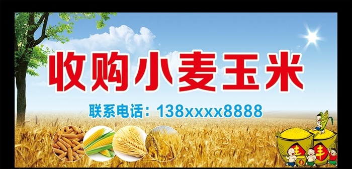 收购小麦玉米图片cdr矢量模版下载