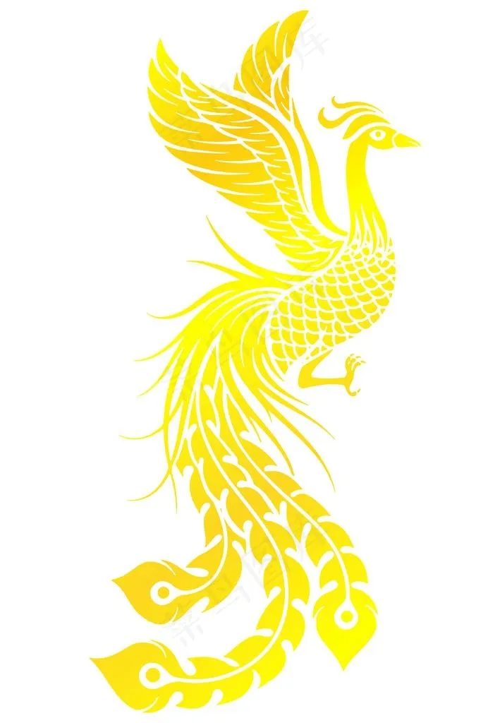 凤凰图片cdr矢量模版下载