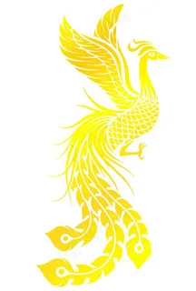 凤凰图片 凤凰图片