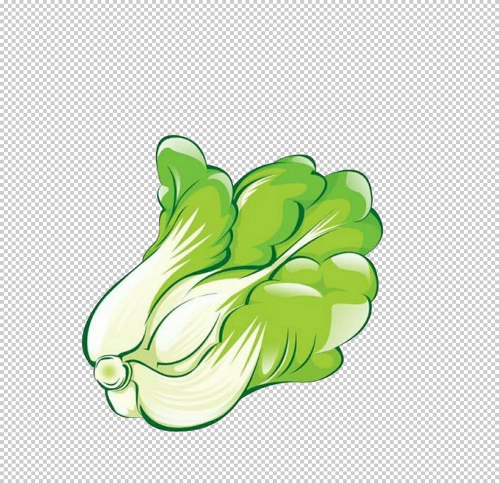 大白菜图片