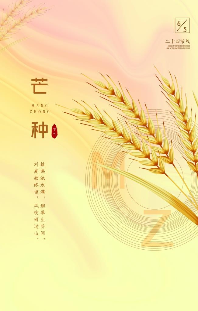 芒种海报图片(3543x5315)psd模版下载