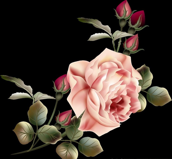 印花 女装  花草 玫瑰花图片