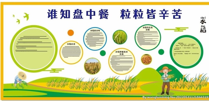 水稻知识文化墙图片cdr矢量模版下载