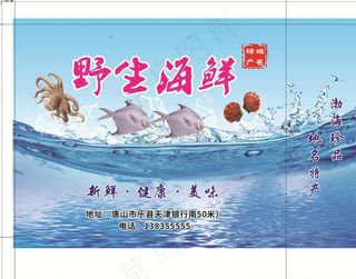 野生  海鲜   蓝色背景图片