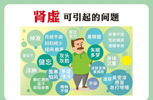 肾虚 引起的问题图片