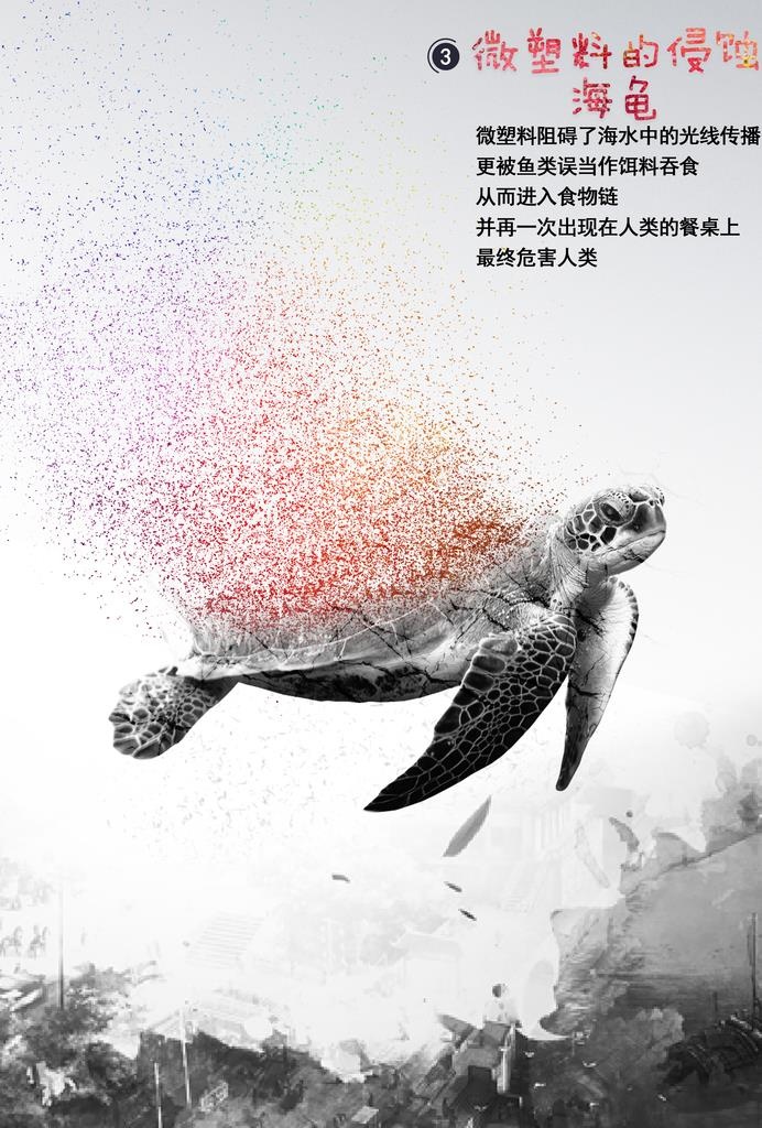 保护海洋图片(3508x4961)psd模版下载