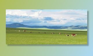 草原风景图图片