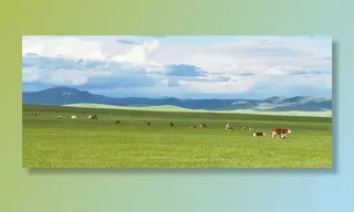 草原风景图图片