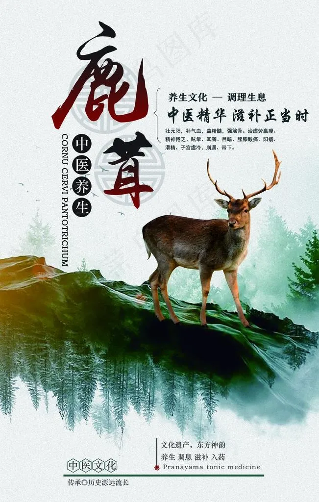 鹿茸图片psd模版下载