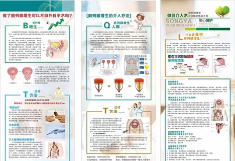 前列腺图片