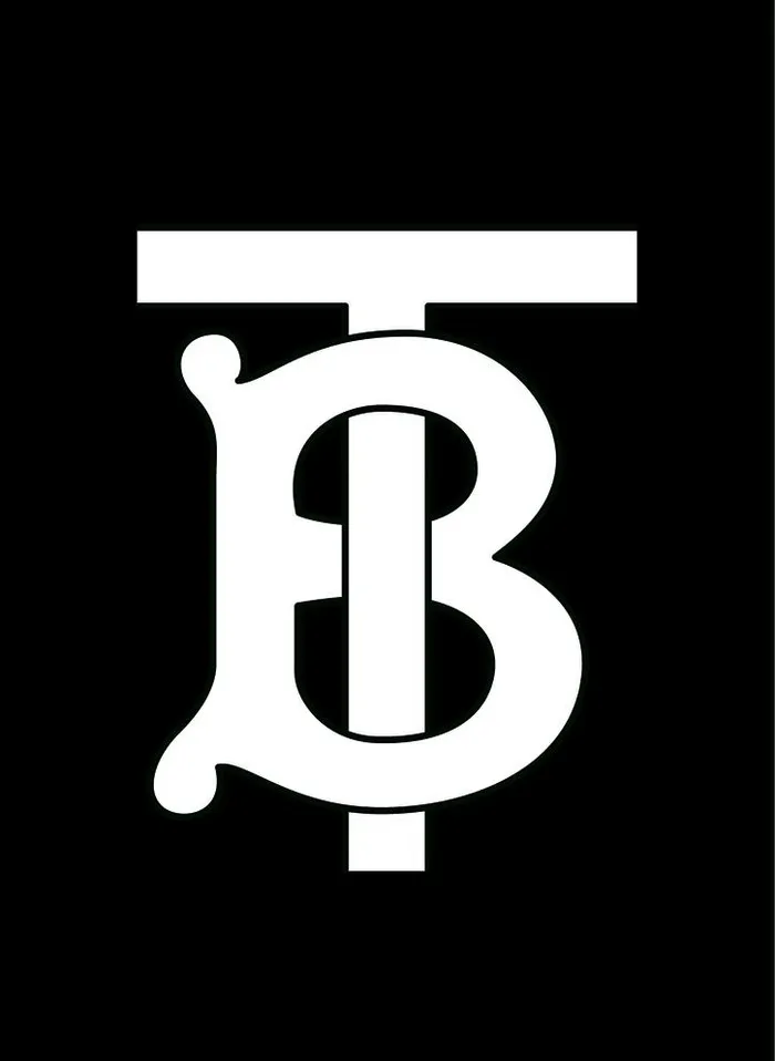burberry博柏利巴宝莉图片ai矢量模版下载