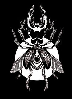 矢量图昆虫图片