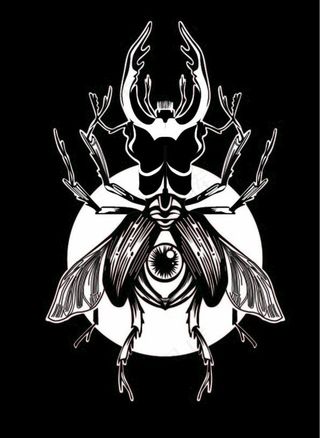 矢量图昆虫图片