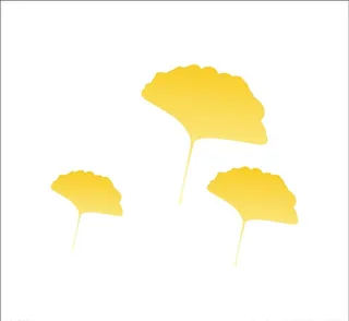 矢量银杏叶图片