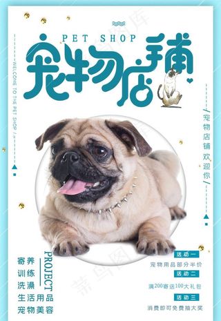 宠物店图片