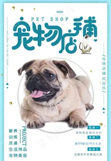 宠物店图片 宠物店图片