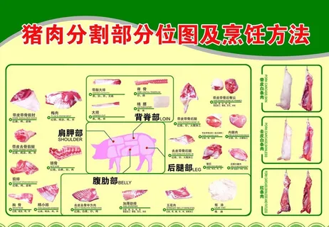 猪肉细分割图片