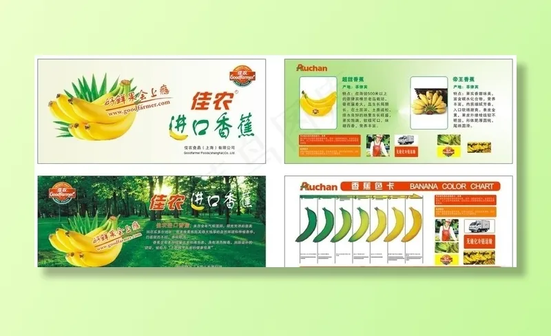 香蕉展板图片cdr矢量模版下载