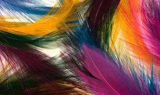 多彩羽毛色彩测试图片