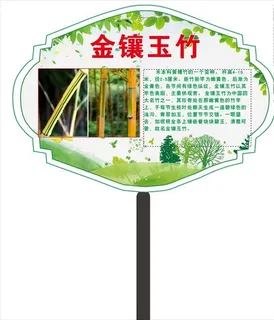 金镶玉竹简介牌子图片