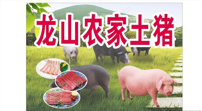 农家土猪图片(210X297)cdr矢量模版下载