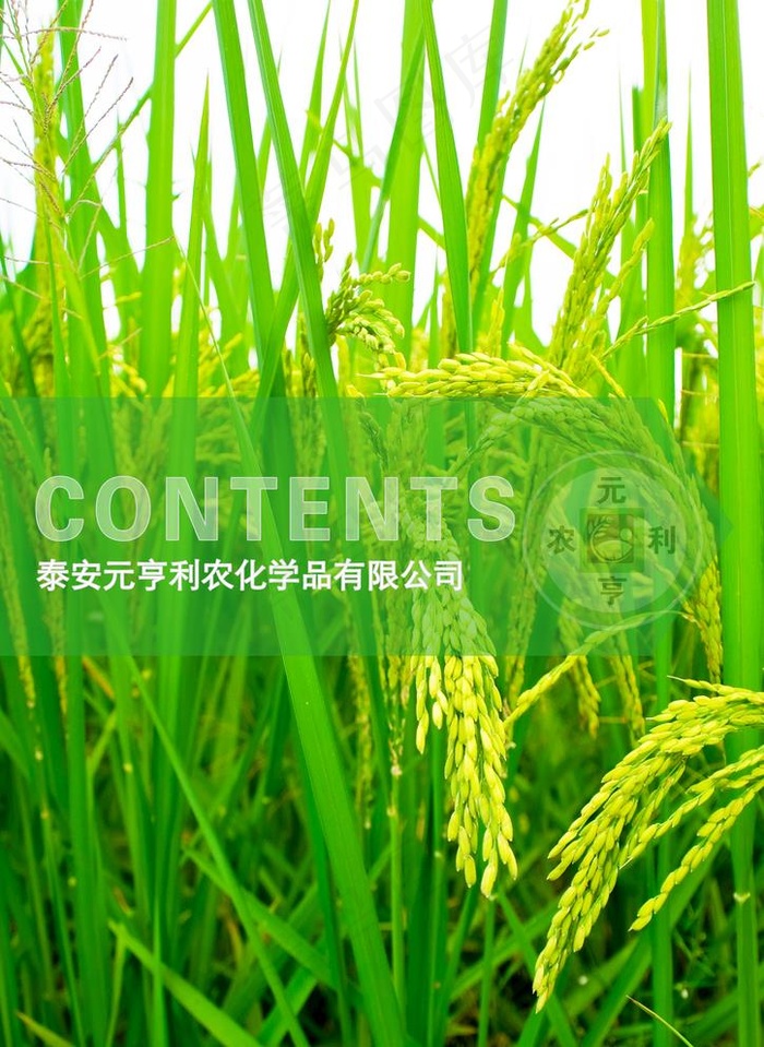 农业画册图片