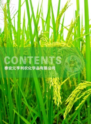 农业画册图片
