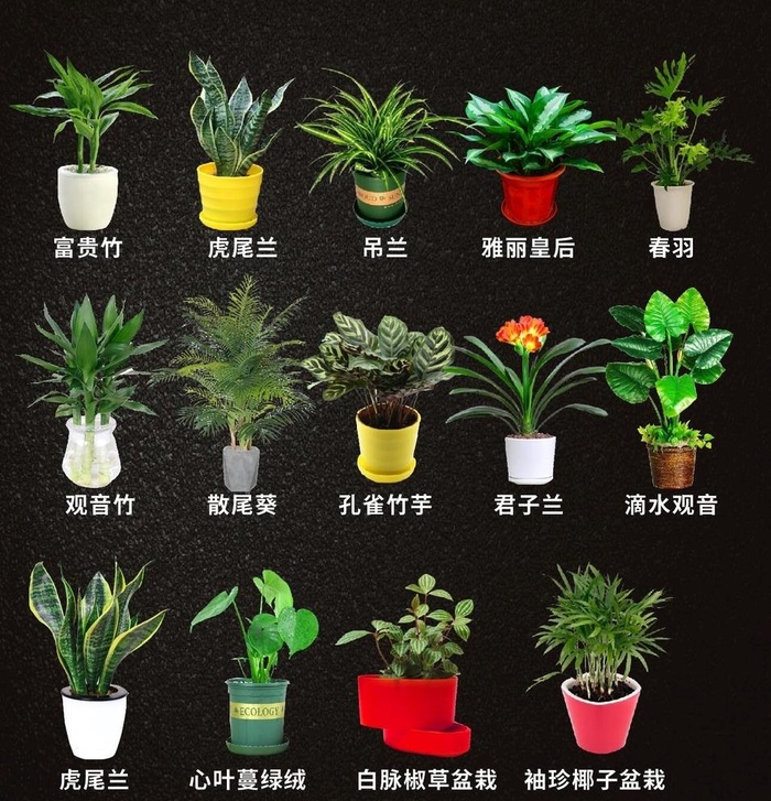 免扣绿植图片cdr矢量模版下载