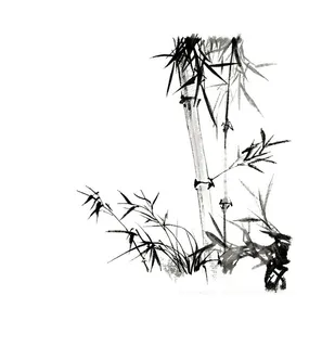 水墨竹子图片 水墨竹子图片