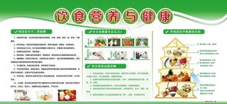饮食营养与健康版面图片
