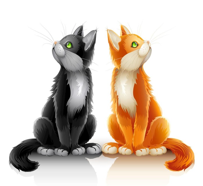 猫图片ai矢量模版下载