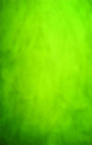 绿色背景图片