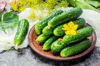 黄瓜图片
