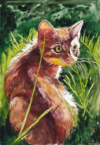 动物猫咪油画图片