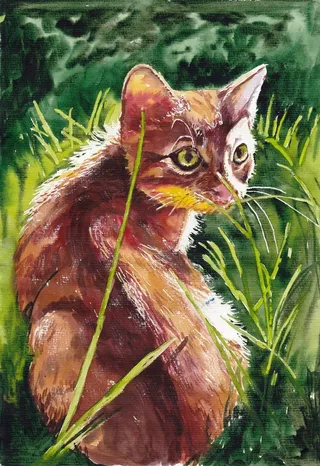 动物猫咪油画图片