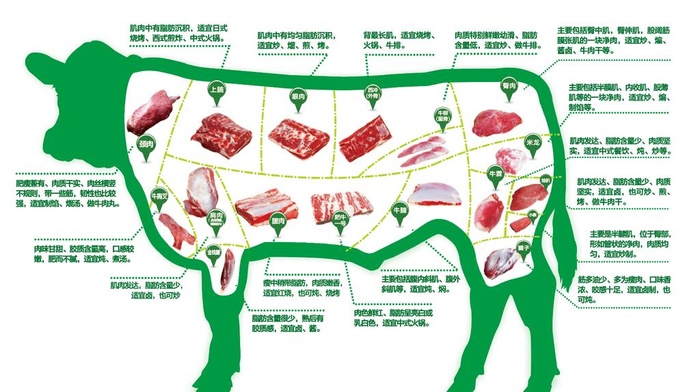 牛肉分割示意图图片ai矢量模版下载