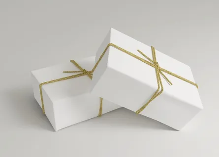 礼品包装样机图片