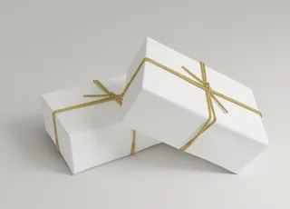 礼品包装样机图片