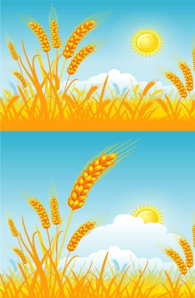 麦穗稻谷插图图片