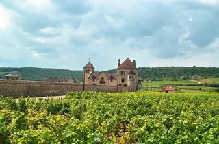 法国 第戎 葡萄园及城堡图片