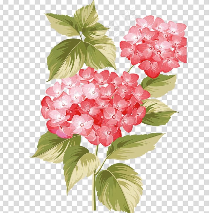 花 图片(1500x1524)psd模版下载