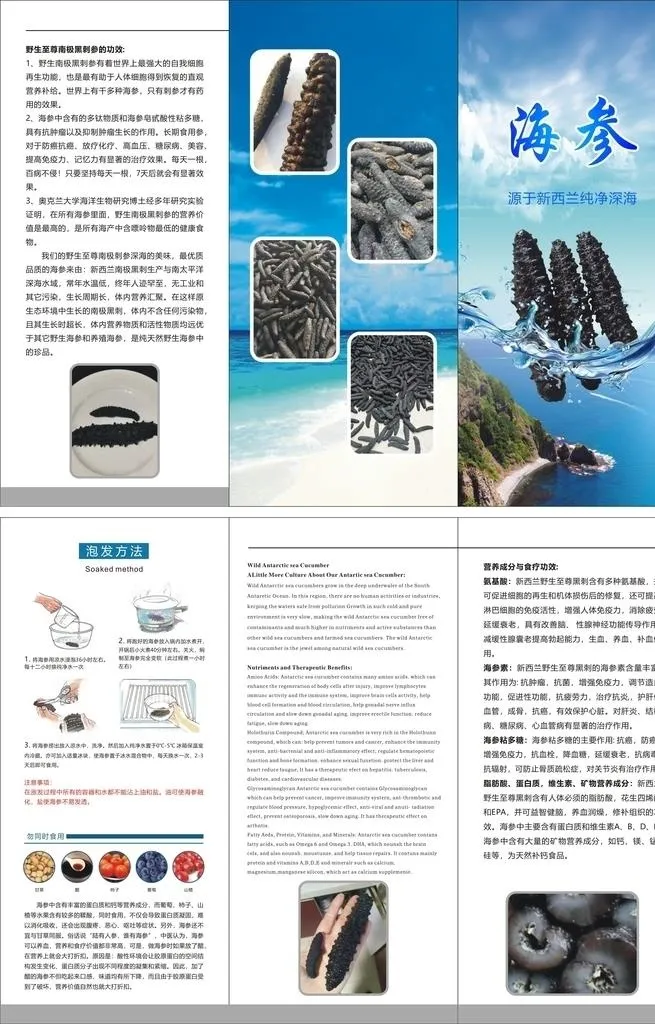海参三折页图片cdr矢量模版下载