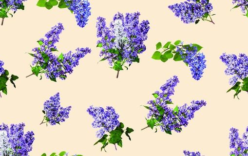 小碎花 大牌图片